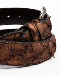 Cody James Men's Brown Pirarucu Exotic Belt -Ariat Store 2000291696 200 P4